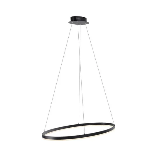 Paul Neuhaus Titus Lámpara colgante LED, oval 80x39cm