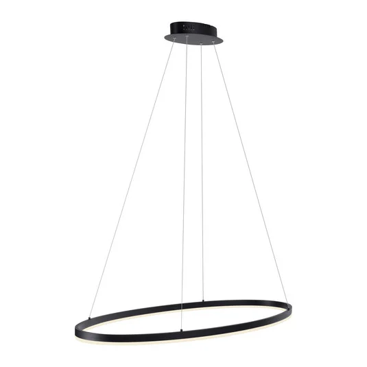 Paul Neuhaus lámpara colgante LED Titus, 118x56cm, CCT, atenuable
