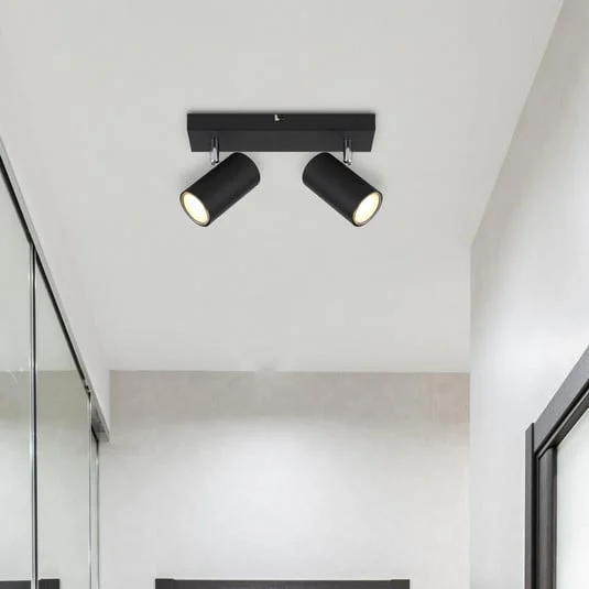 Robby downlight de techo, negro, longitud 26 cm, 2 luces, metal