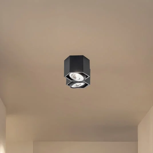 Plafón Elvas orientable 2 luces negro