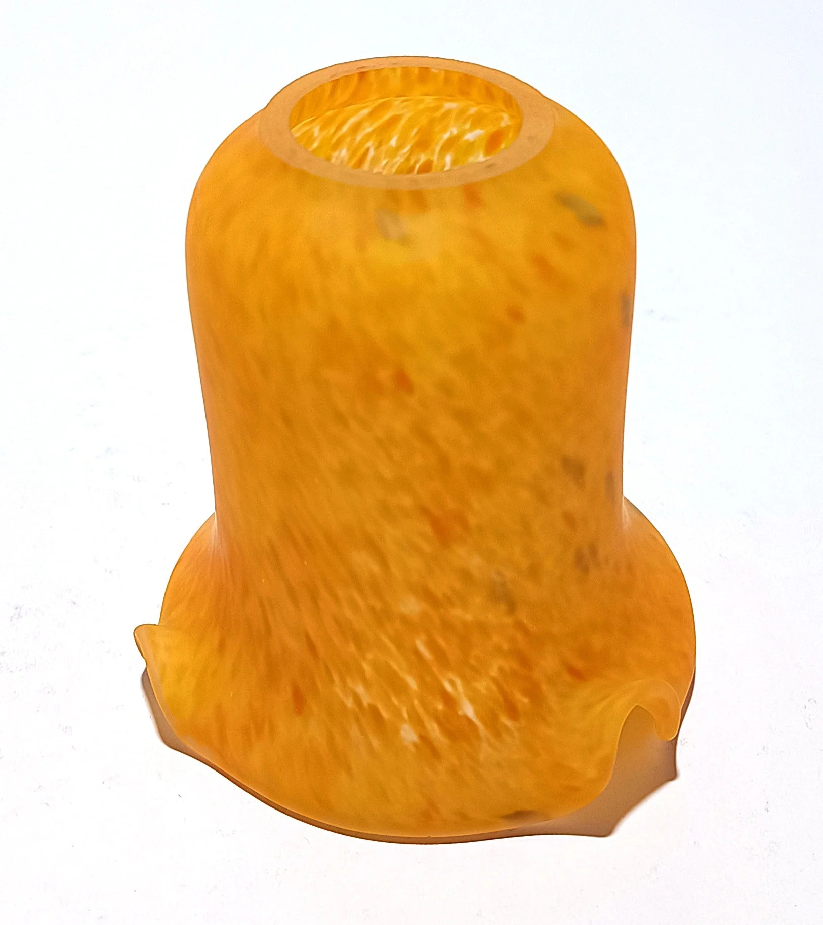 Tulipán naranja con semilla verde y ala corta