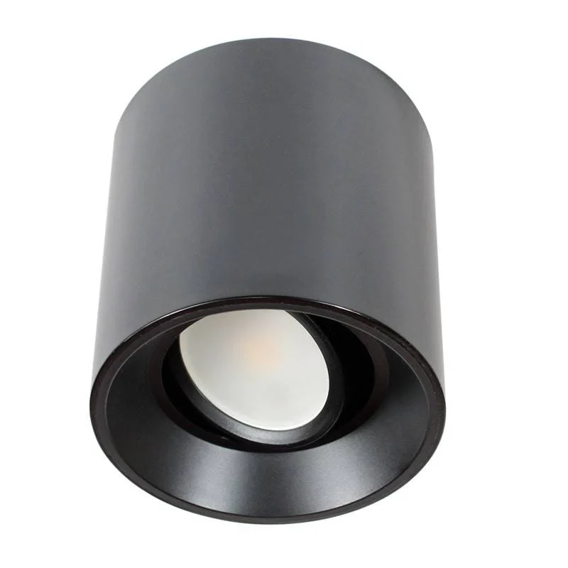 Aplique de techo policarbonato orientable - GU10