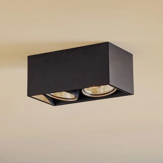 FLOS Compass Box H135 - plafón 2 luces negro