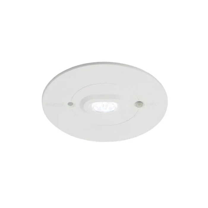 Ansell LED Luz de emergencia Raven Ruta de escape Blanco 3W 111lm 142x49D - 865 Luz de Día | 110mm - IP65 - Luz de emergencia 3 horas - Autocomprobación
