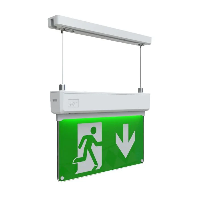 Ansell LED colgar Señal de salida de emergencia Kestrel Blanco 2W 14lm - 865 Luz de Día