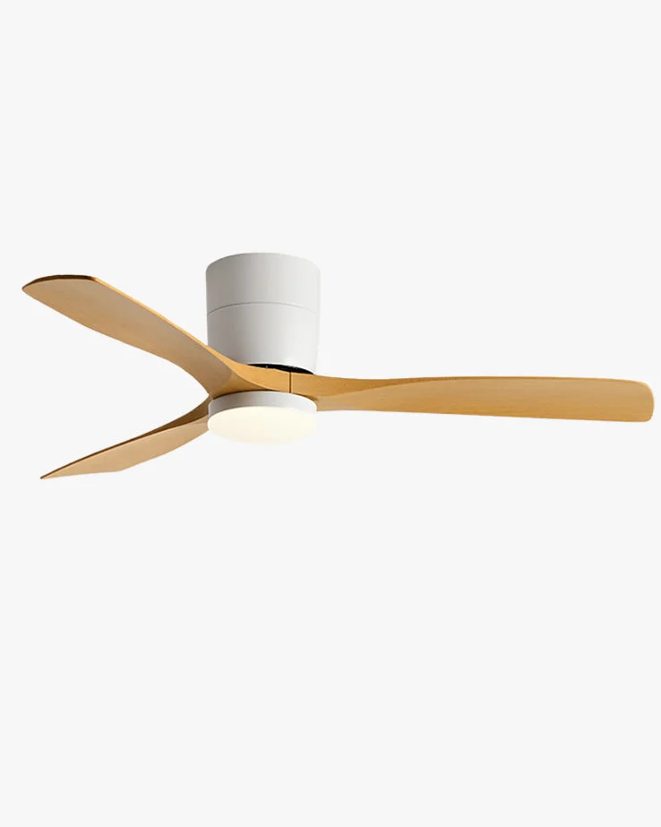 Ventilador de techo moderno de perfil bajo WOMO con lámpara-WM5215