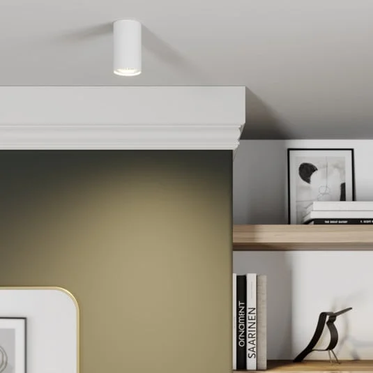 Downlight Eye S en forma cilíndrica, blanco
