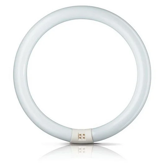Aro fluor. G10q 22W 865 Master Circular TL-E