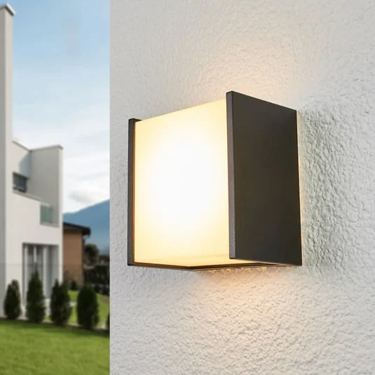 Aplique de pared exterior LED Guacamayo