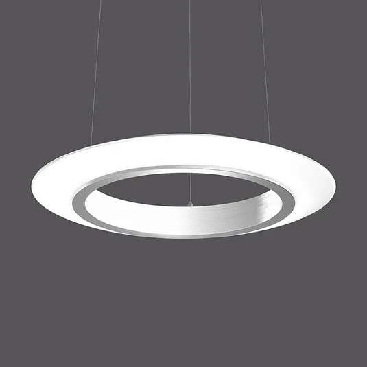 RZB Colgante Anillo de Fuego Elipse DALI 50cm 30W 840
