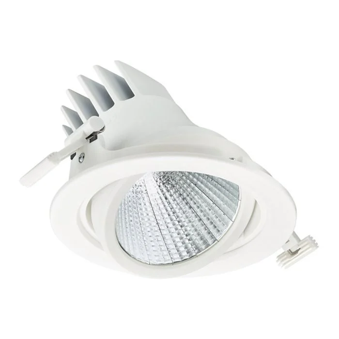Philips Foco LED LuxSpace Accent Performance RS781B 33W 3500lm 10D - 827 Luz Muy Cálida | 170mm