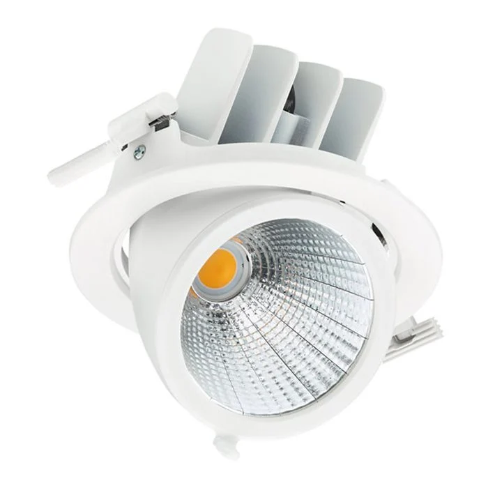 Philips Foco LED LuxSpace Accent Performance RS782B 29.5W 3850lm 36D - 830 Luz Cálida | 167mm - Dali Regulable