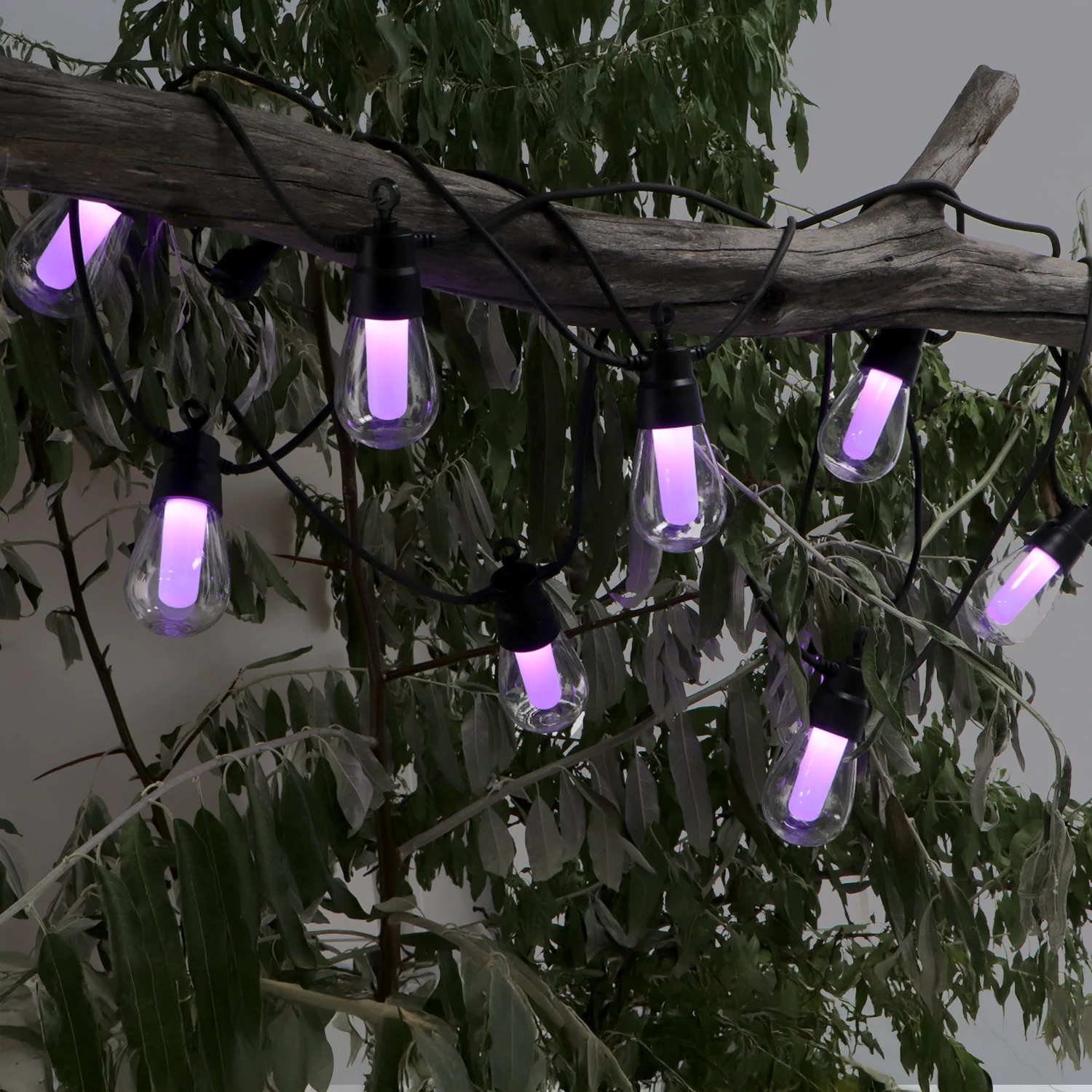Guirnalda LED Solar de 10 Bombillas 8M Exterior IP54 Sensor Crepuscular