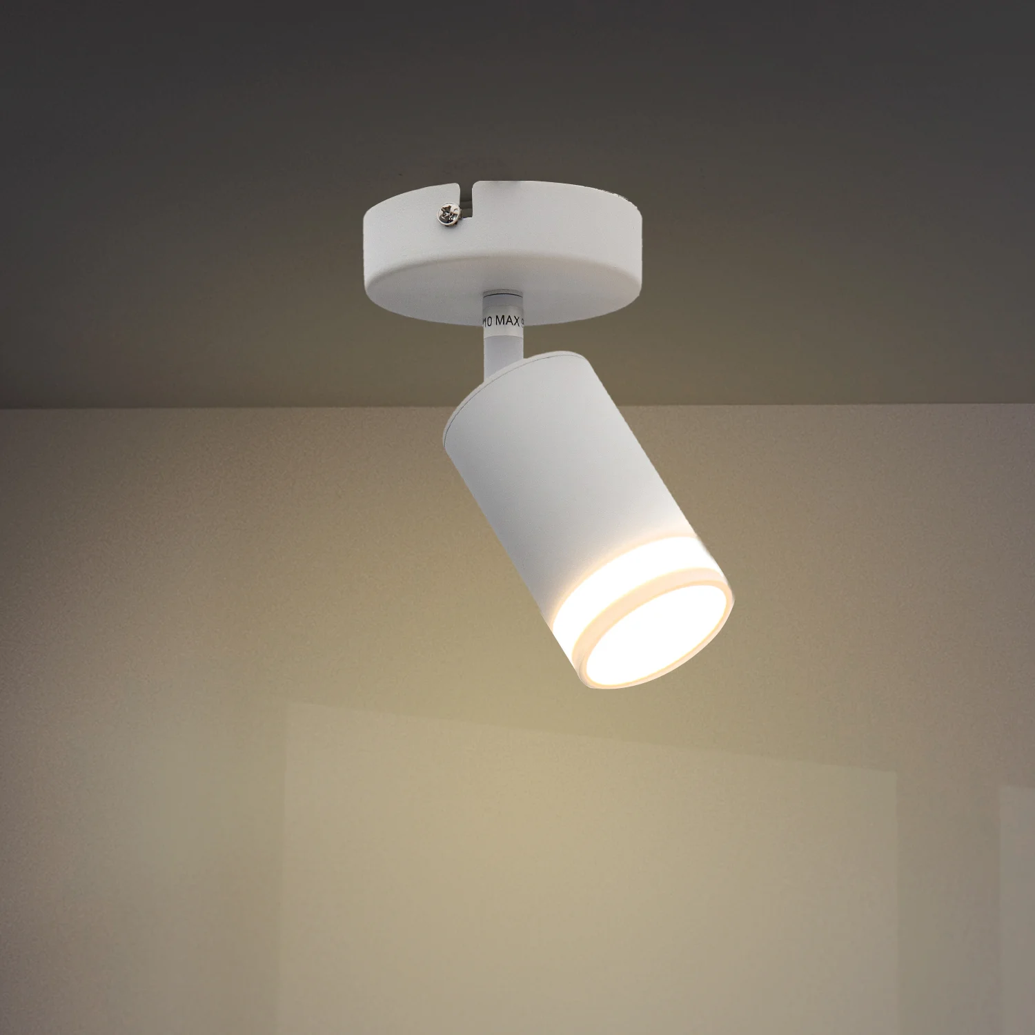 Lámpara de Techo Serie White Álamos 1 Focos GU10 IP20