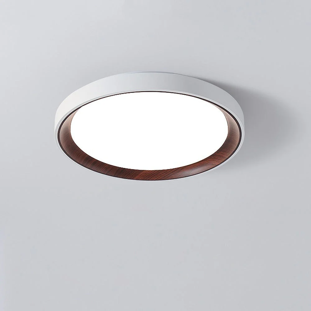 Orelis - Lámpara de Techo LED Moderna de Acrílico Blanco para Dormitorio y Sala de Estar - Iluminación Eficiente y Diseño Contemporáneo