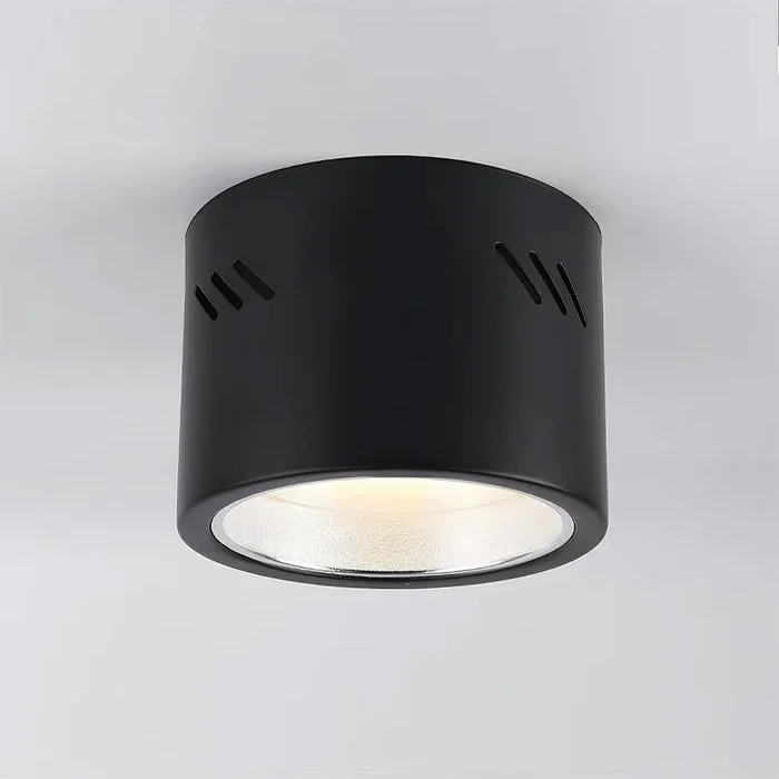 Eivora - Lámpara de Techo LED Moderna de Aluminio - Eficiente y Estilizada para Iluminación Interior