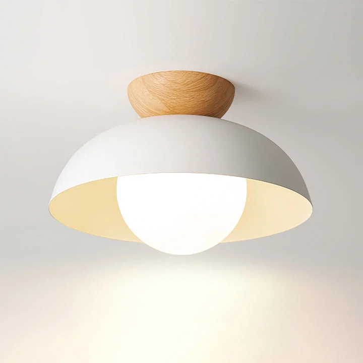 Elaria - Lámpara de Techo Moderna Minimalista Ecológica Estilo Nórdico en Blanco y Negro - Plafón de Techo con Base G9
