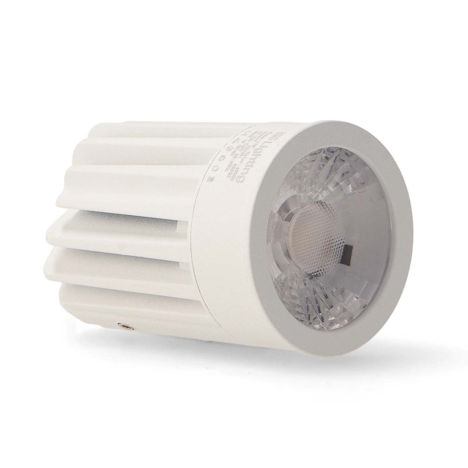 Módulo LED 12W