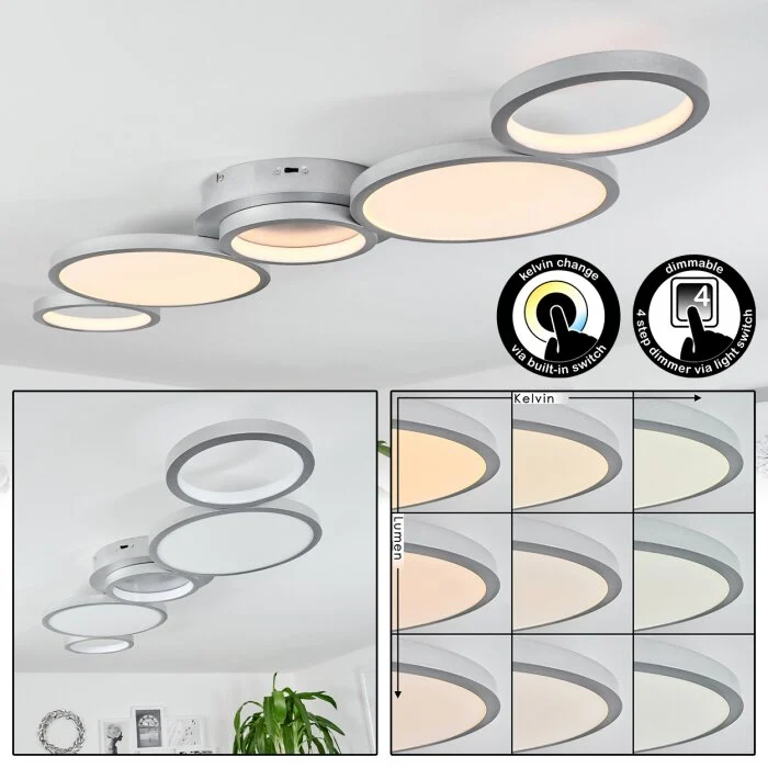 Carabajal Lámpara de Techo LED Titanio, 1 luz