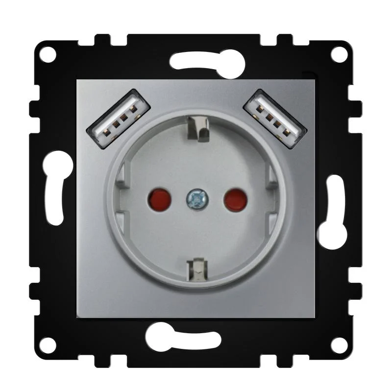 Enchufe Empotrable Tipo F Schuko Con Doble USB Gris 16A IP20 Serie wLux