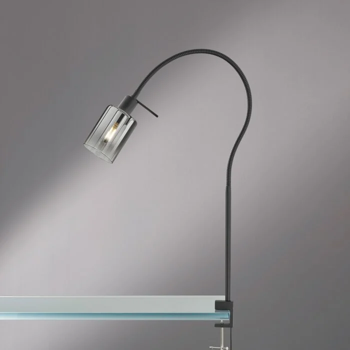 Fischer & Honsel Iska Lámpara con pinza Negro, 1 luz