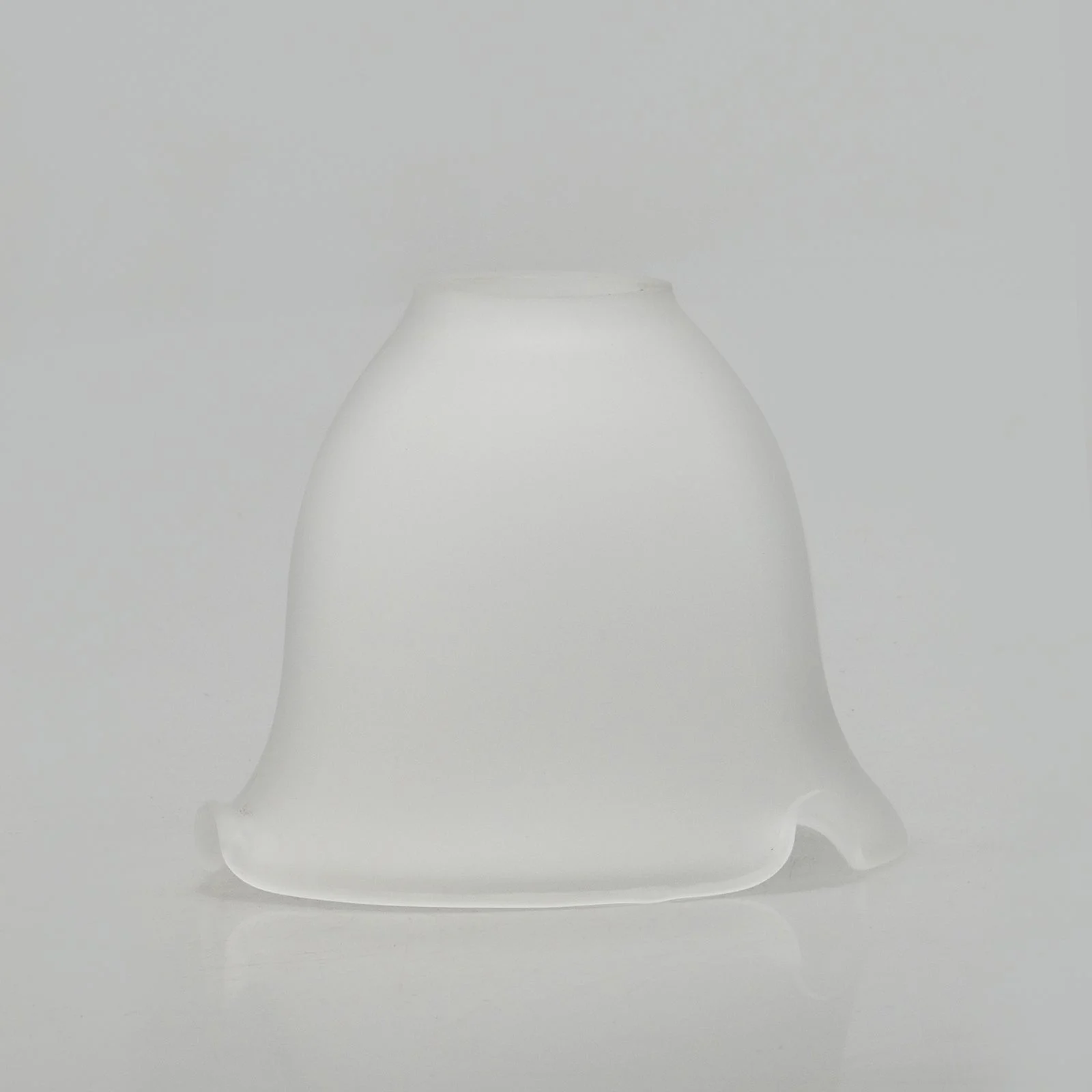 Tulipán escarchado