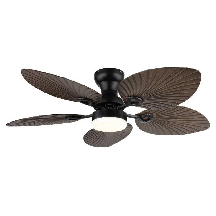 Lámparas Globo Lighting Elise lámpara ventilador de techo LED Crudo, Negro, 1 luz, Mando a distancia
