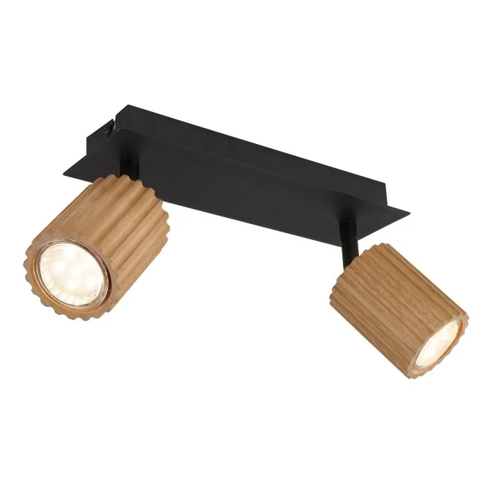 Lámparas Globo Lighting Wenzel Plafones Negro, 2 luces