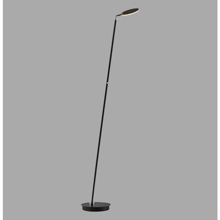 Lámparas Paul Neuhaus BENTE Lámpara de pie LED Negro, 1 luz