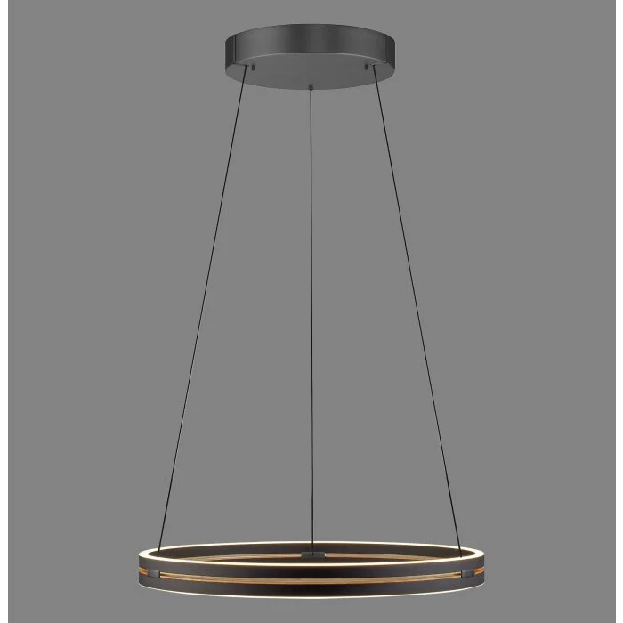 Lámparas Paul Neuhaus E-Loop Lámparas colgantes LED Negro, 2 luces, Mando a distancia