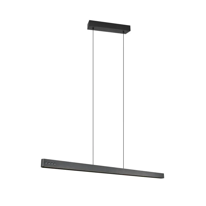 Lámparas Trio Donegal Lámparas colgantes LED Negro, 1 luz, Mando a distancia