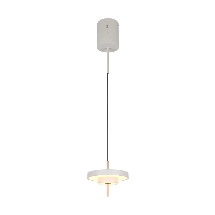 Lámparas Trio KEATON Lámparas colgantes LED Gris, 1 luz