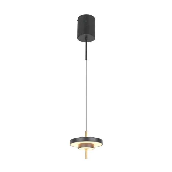 Lámparas Trio KEATON Lámparas colgantes LED Negro-dorado, 1 luz