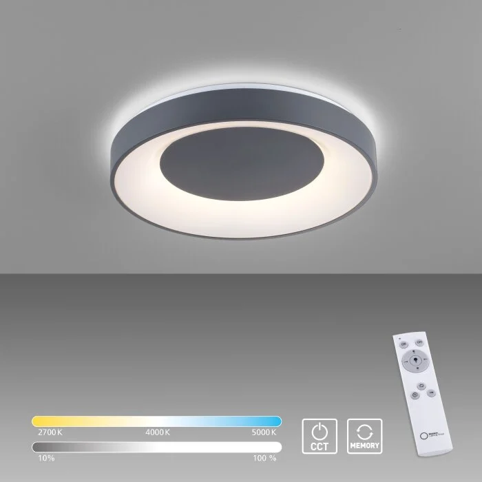 Leuchten-Direkt ANIKA Lámpara de Techo LED Antracita, 1 luz, Mando a distancia