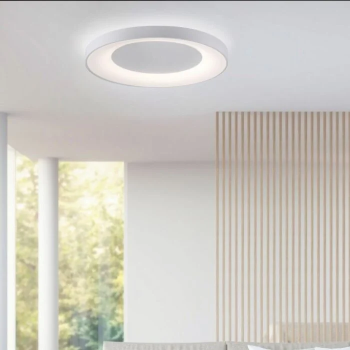 Leuchten Direkt ANIKA Lámpara de Techo LED Blanca, 1 luz, Mando a distancia