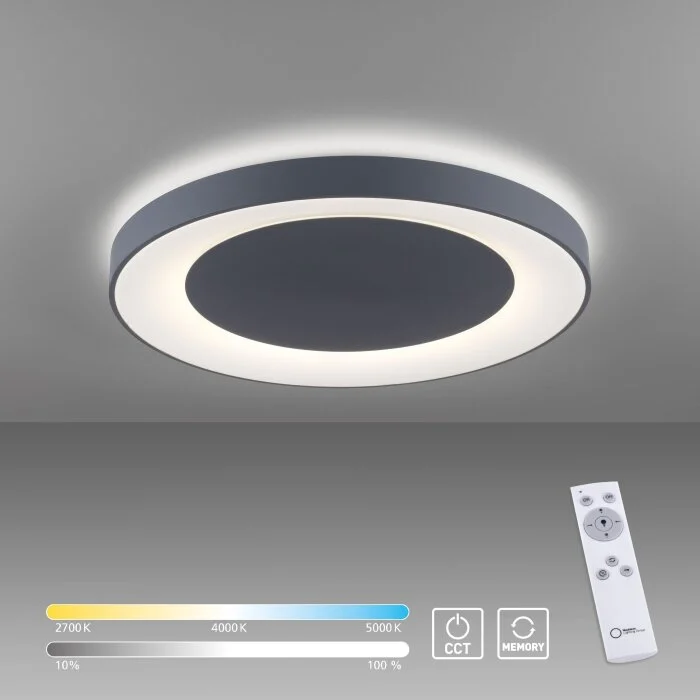 Leuchten Direkt ANIKA Lámpara de Techo LED Antracita, 1 luz, Mando a distancia