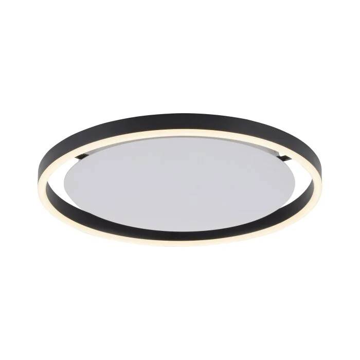 Leuchten-Direkt RITUS Lámpara de Techo LED Antracita, 1 luz