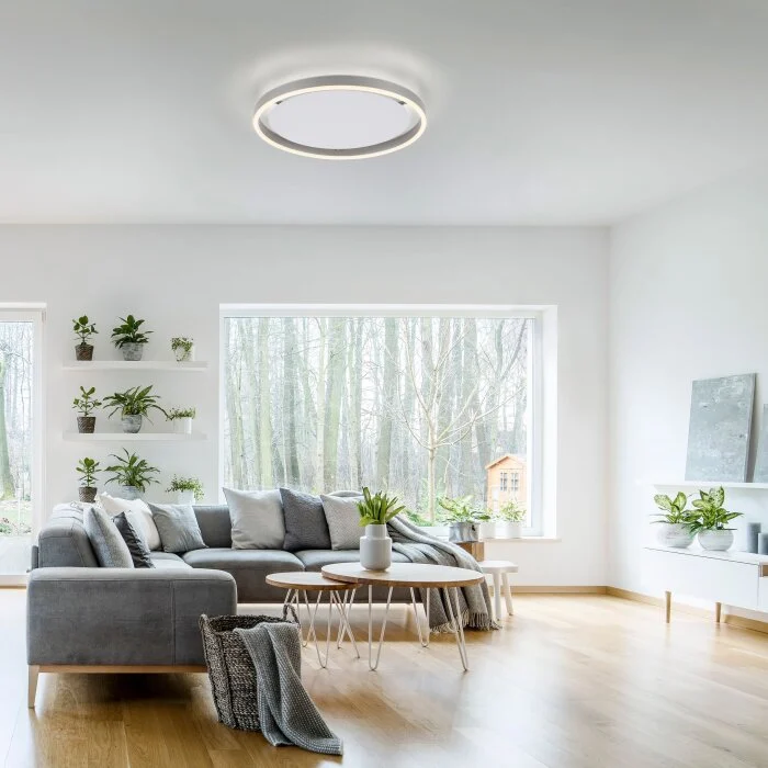 Leuchten-Direkt RITUS Lámpara de Techo LED Aluminio, 1 luz