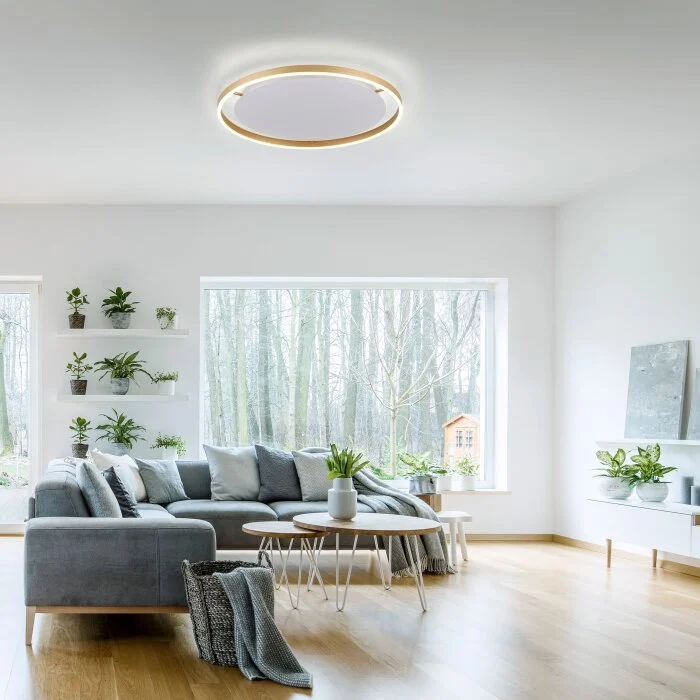 Leuchten-Direkt RITUS Lámpara de Techo LED Latón, 1 luz
