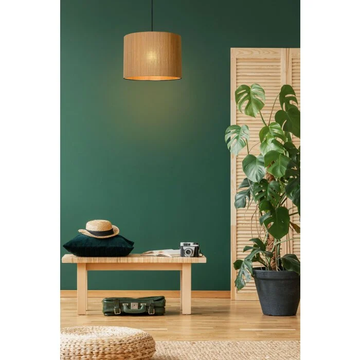 Lucide MAGIUS Lámpara Colgante Negro, 1 luz
