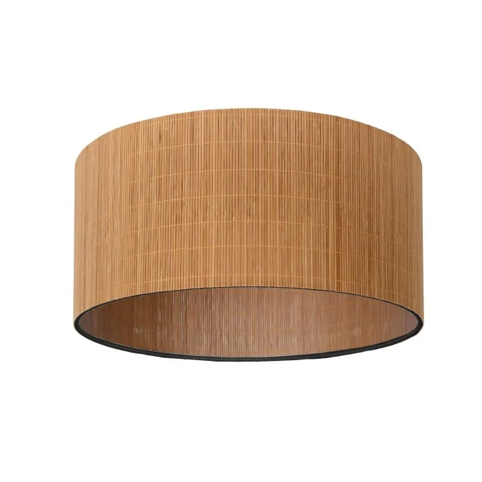 Lucide MAGIUS Lámpara de Techo Negro, 1 luz