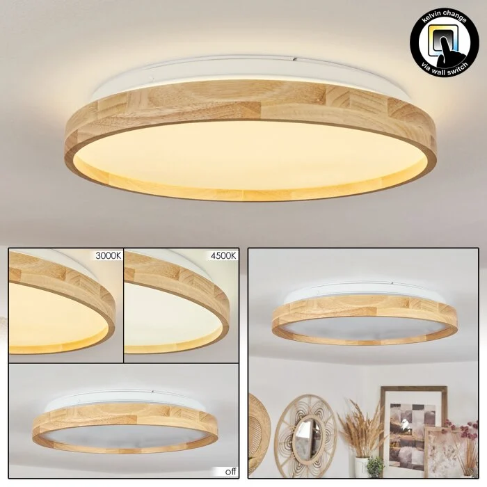 Menthonnex Lámpara de Techo LED Blanca, 1 luz