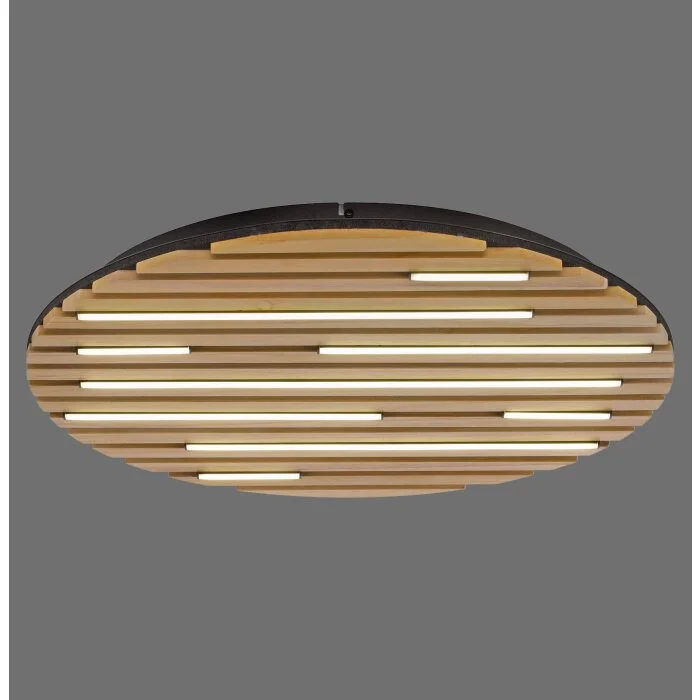 Paul Neuhaus Q-Serie Q-Akustik Plafones y apliques / Lámparas de techo y pared LED Marrón, Negro, 1 luz, Mando a distancia