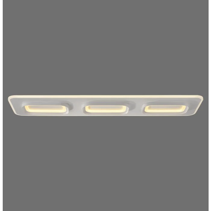 Paul Neuhaus Q-Serie Q-Kalina Plafones LED Blanca, 1 luz, Mando a distancia