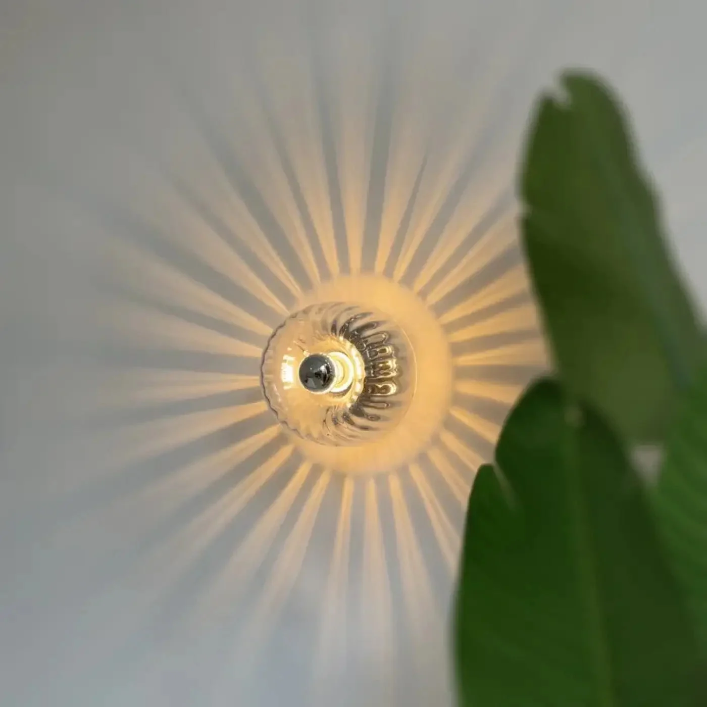 Aplique de Pared | SUN