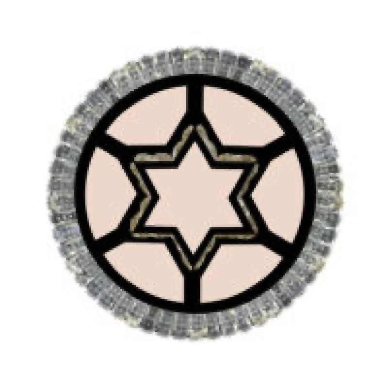 Plafón de Techo LED Star 60W CCT con Mando a Distancia