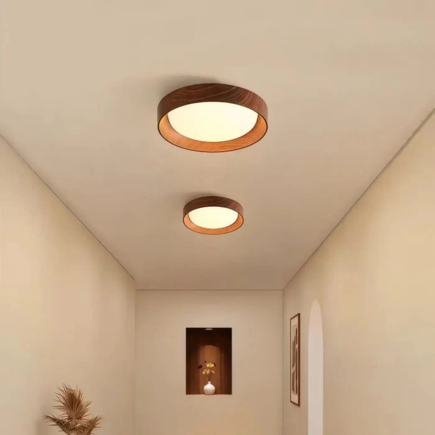 Luminaria de Techo | COUCOU