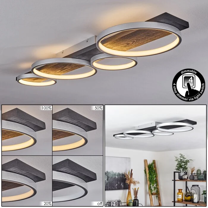 Rodekro Lámpara de Techo LED Negro, Plata, 1 luz