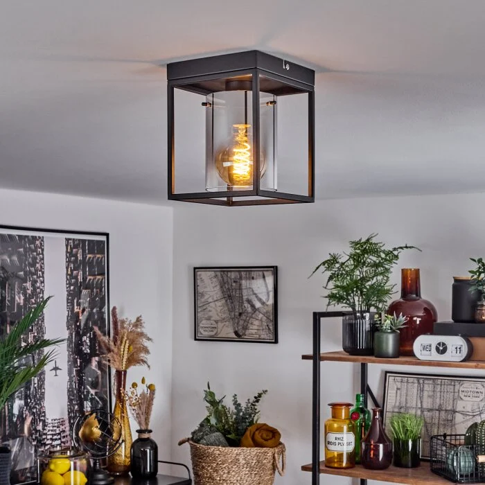 Sarniguet Lámpara de Techo Negro, 1 luz