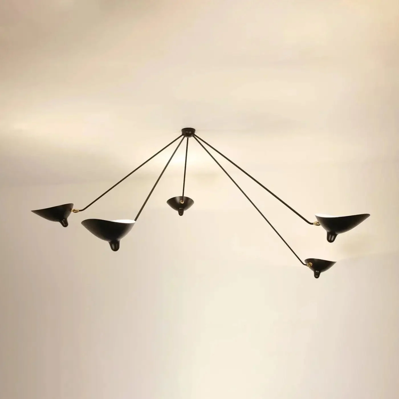 Suspension Luminaire | BRADE